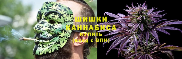 PSILOCYBIN Гусев